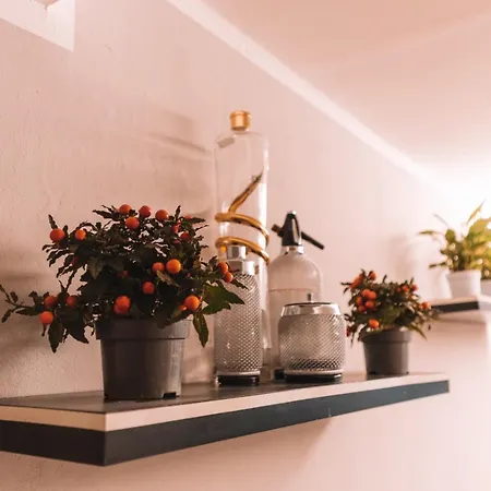 Mavediche 라스페치아